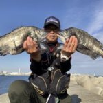fathom LEVEL1.5号で神戸の和田防にチヌ釣りに行って来ました【中溝明利様】
