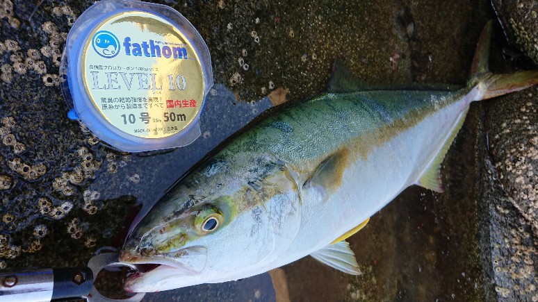 Fathom Level 10を使用した岩手県地磯でのヒラマサチャレンジ 小岩修一様 Fishing Fathom ファゾム