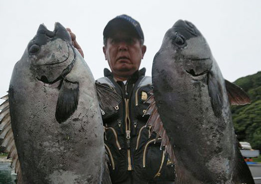 本石の釣果年間100枚突破！石鯛釣りの準備と仕掛けのポイント