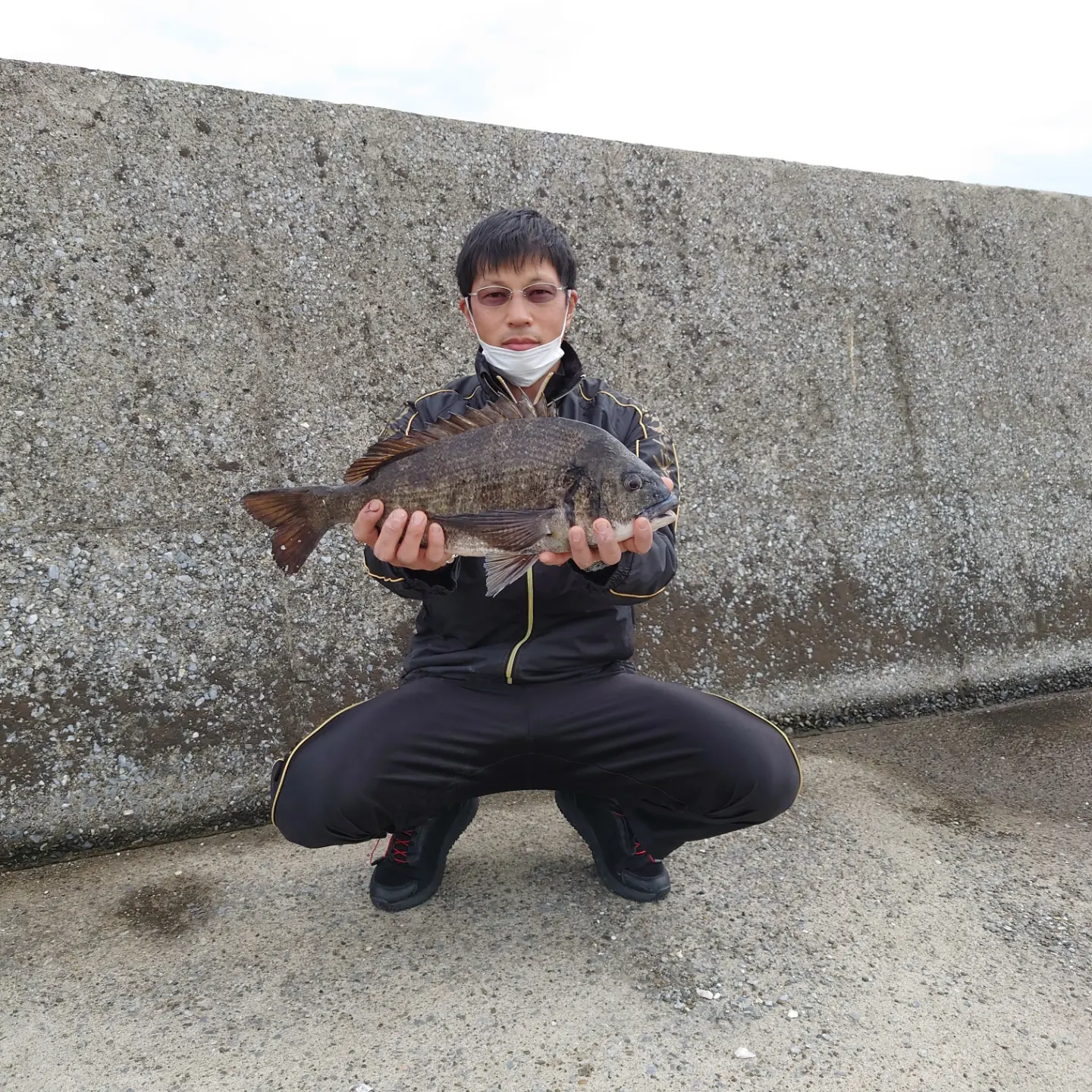 チヌ落とし込み ヘチ釣りに 220