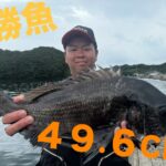 大村湾チヌ釣り大会 優勝【吉永隆成様】