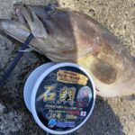 【多賀英二様】底物ライン倭でアラをキャッチ