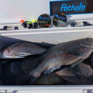 【仮屋章吾様】寒グレ釣り