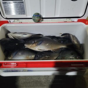 【池田侑矢様】宗像沖ノ島 寒グレ釣り